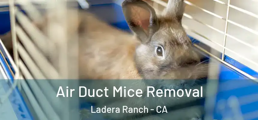 Air Duct Mice Removal Ladera Ranch - CA