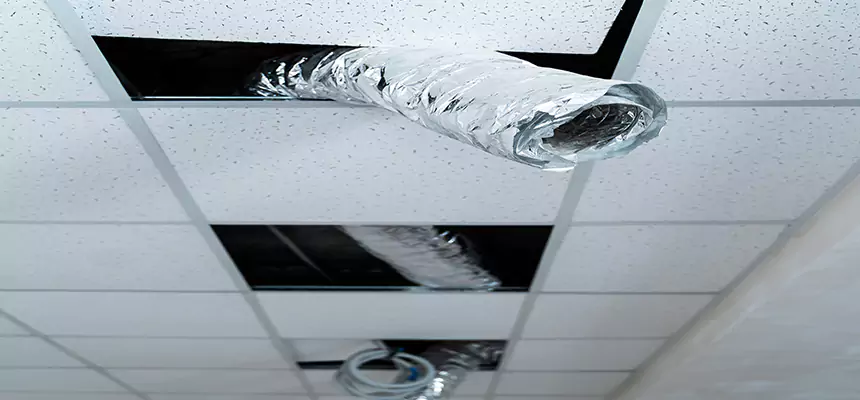 Affordable HVAC Sanitizing After Pest Removal in Ladera Ranch