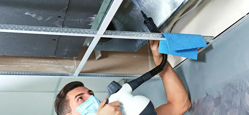 Our Air Duct Rodent Removal Services in Ladera Ranch, CA