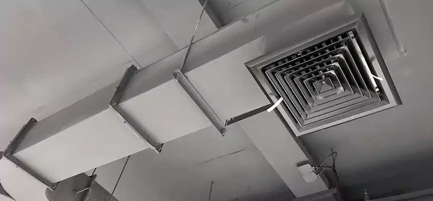 Restorative Allergy Relief Vent Cleaning – Coil, Blower & Housing Detail in Ladera Ranch