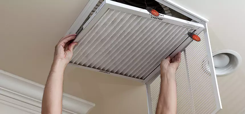 Our Insect Removal from Air Ducts Services in Ladera Ranch, CA
