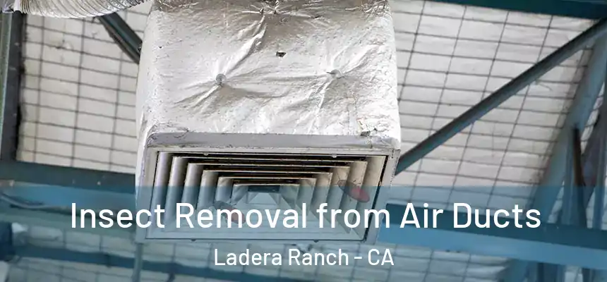 Insect Removal from Air Ducts Ladera Ranch - CA