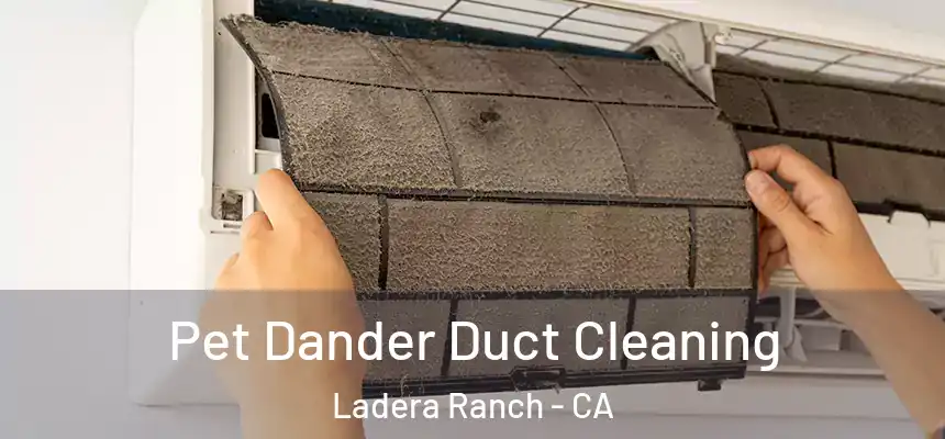 Pet Dander Duct Cleaning Ladera Ranch - CA