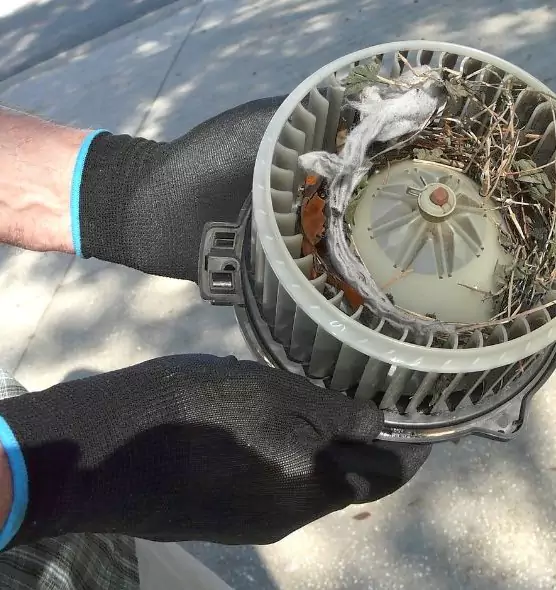 About Air Duct Rat Removal in Ladera Ranch, CA