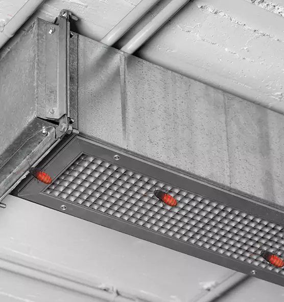 Affordable Insect Removal from Air Ducts in Ladera Ranch, CA