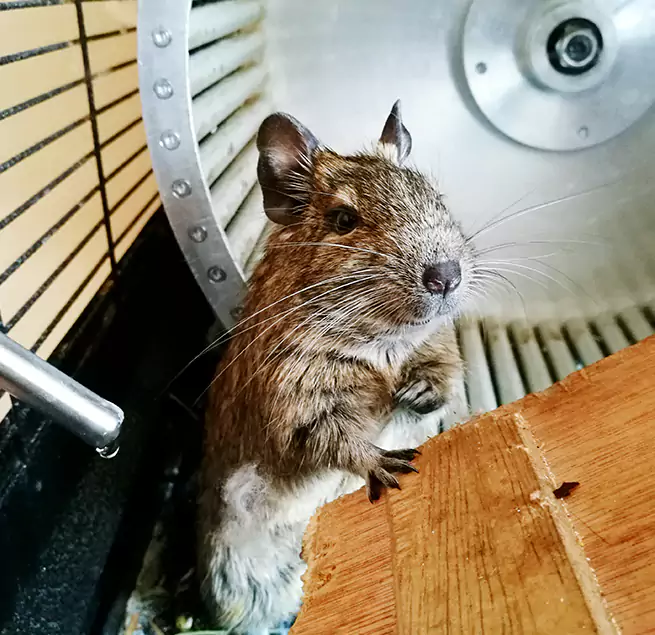 Why Homeowners & Businesses Trust Us Ladera Ranch, CA?