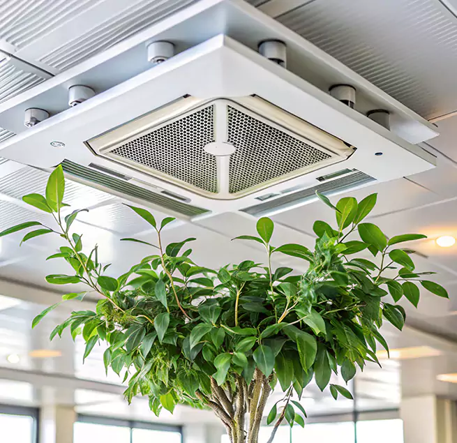 Why Homeowners & Businesses Trust Us in Ladera Ranch, CA?