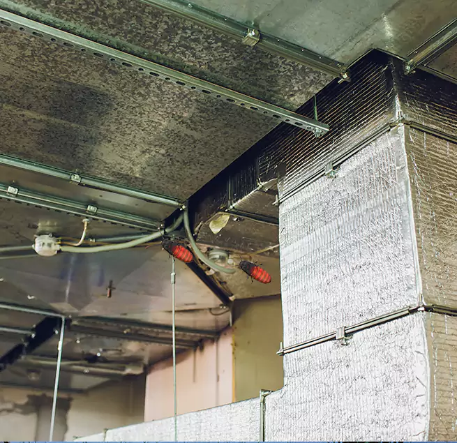 Why Homeowners & Businesses Trust Us Ladera Ranch, CA?