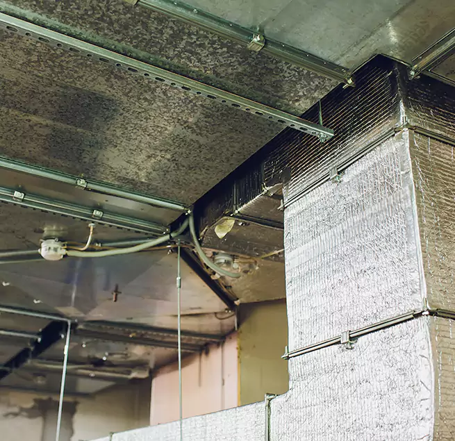 Why Homeowners & Businesses Trust Us in Ladera Ranch, CA?